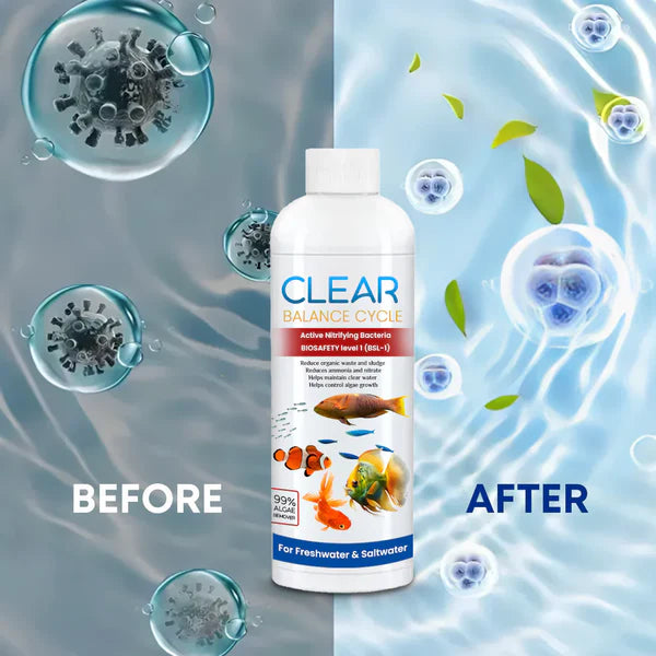 AquaClear™ Algae Purifier Trio | Pack Of 3 - Buy 1 Get 2 FREE - 6 Years Pack